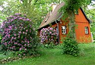 Ferienhaus hinter Rhododendrensträuchen